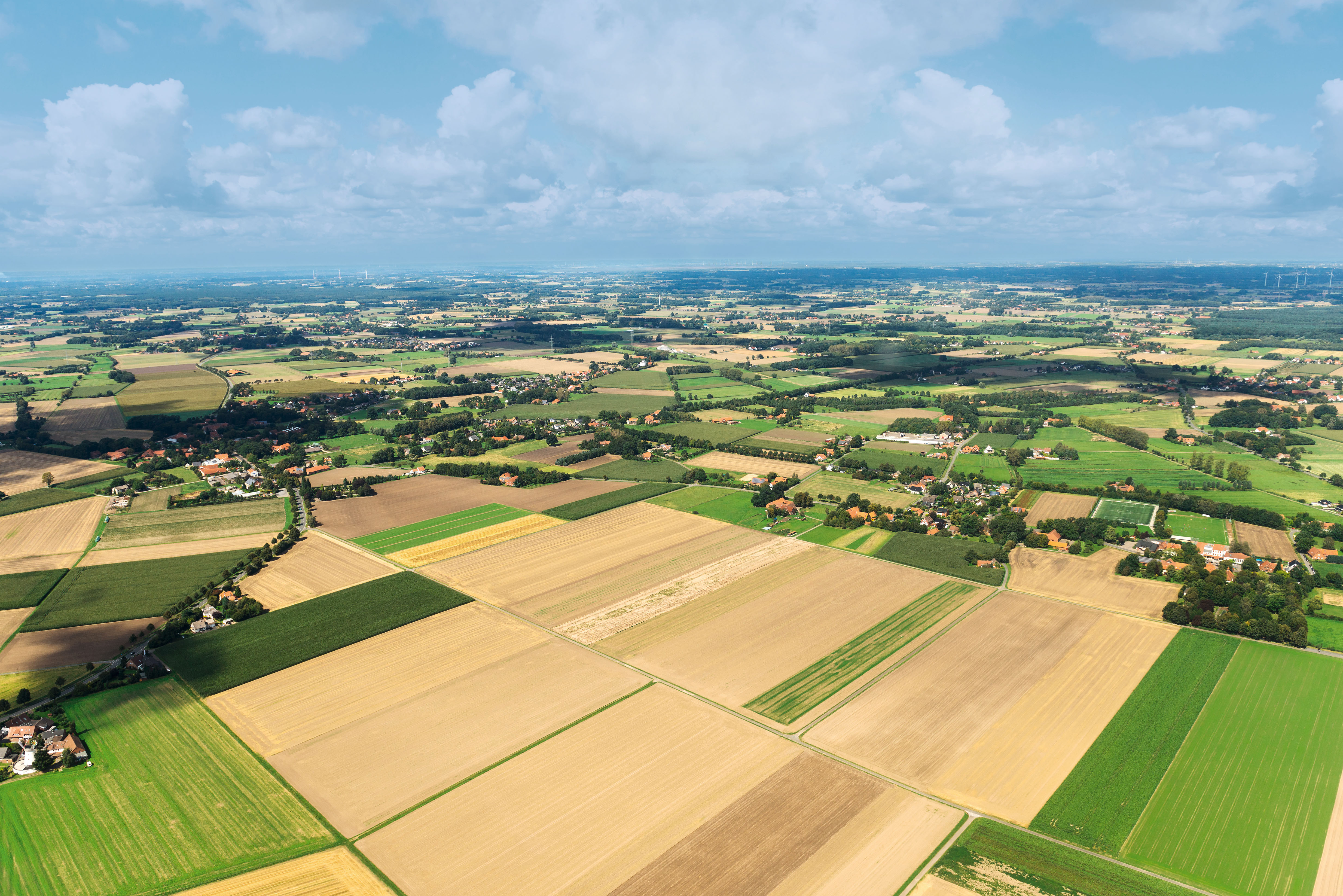 Kind läuft mit einem Drachen über ein Kornfeld